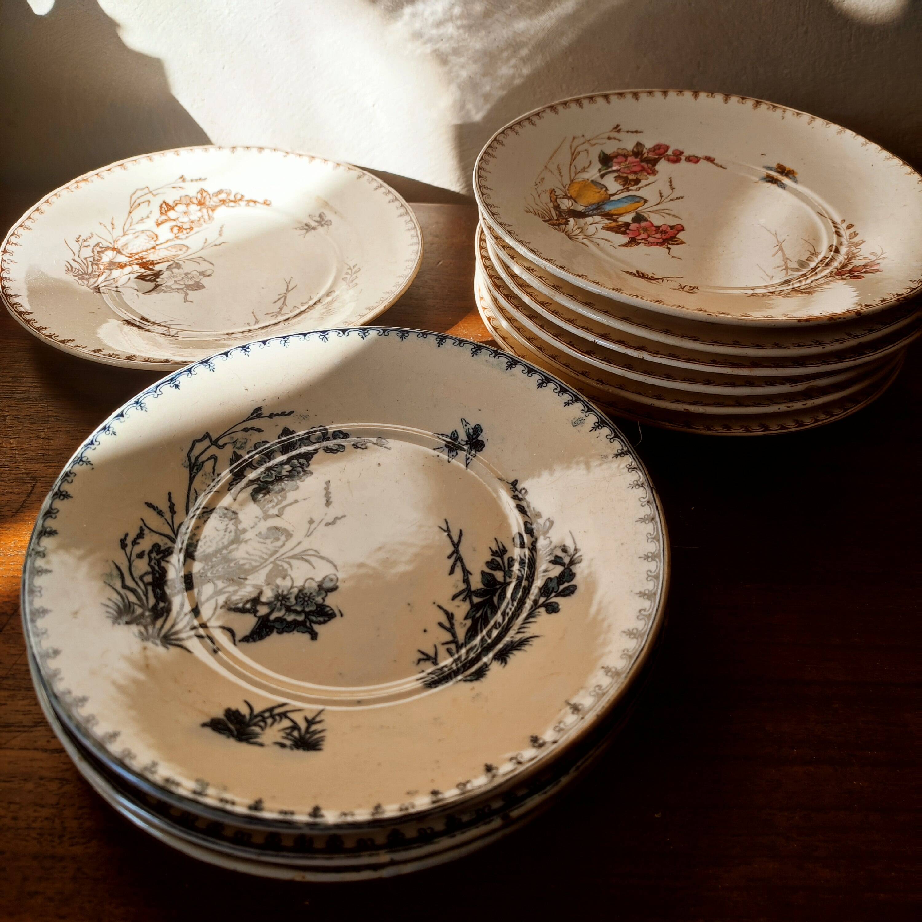 10 Lunéville earthenware plates, "Mésanges" pattern