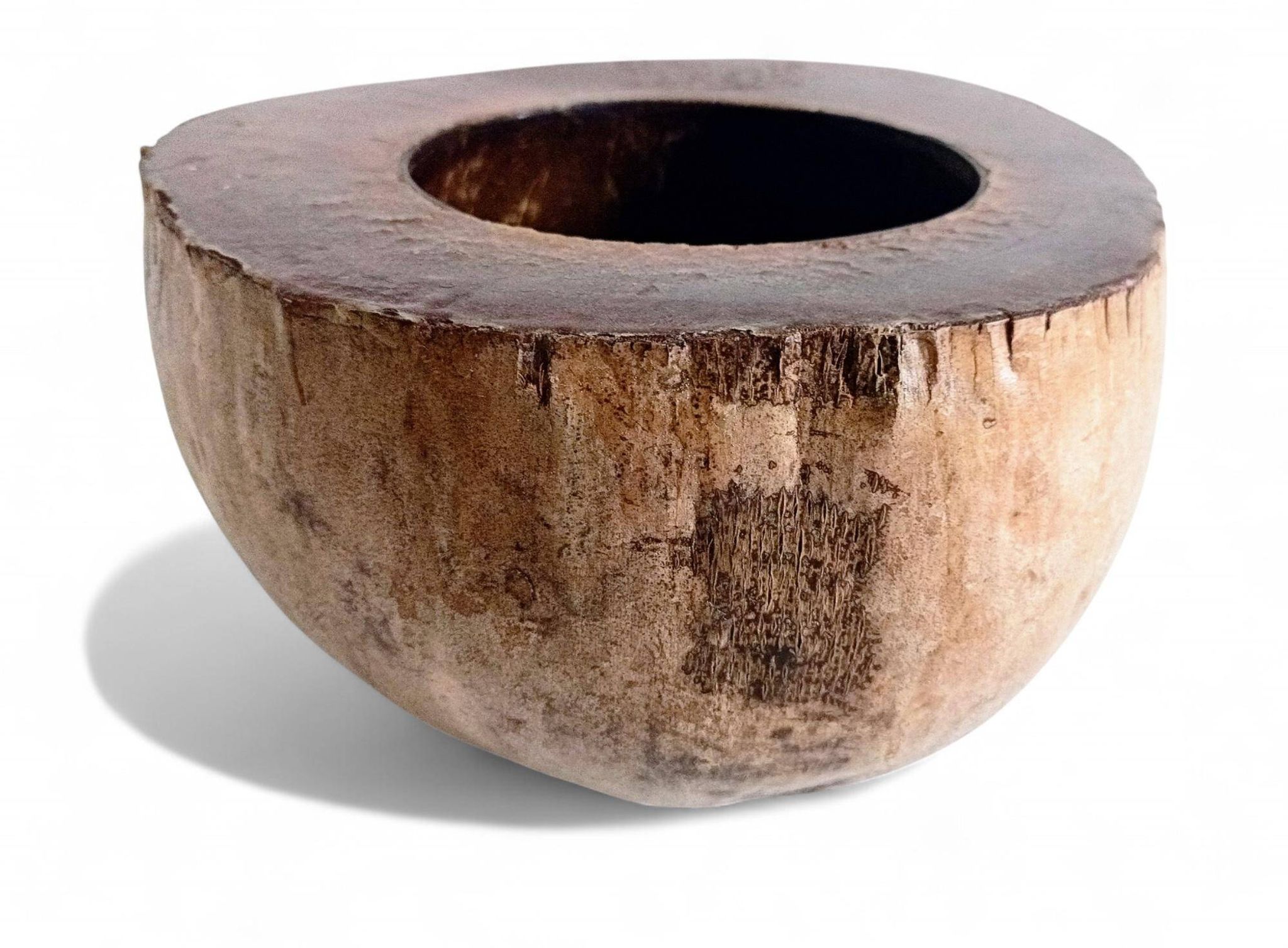 Centre de table Wabi Sabi moderne organique Coco de Mer, sculpté à la main, 19e siècle.