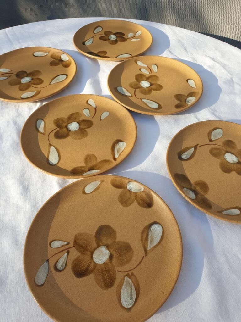 Set 6 flat plates D19.5 Nadège 1970 Sarreguemines