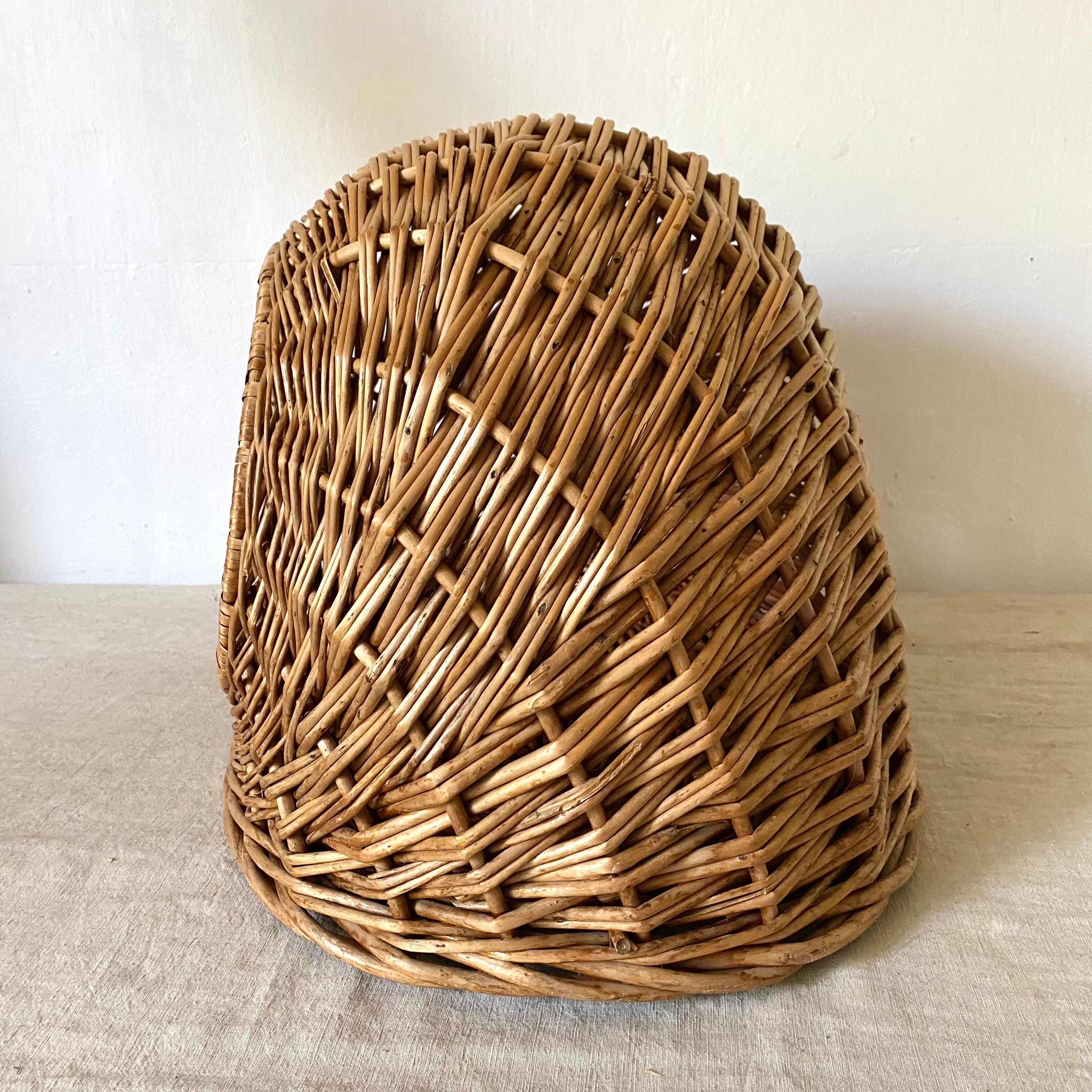 Basket for cat or dog in woven wicker