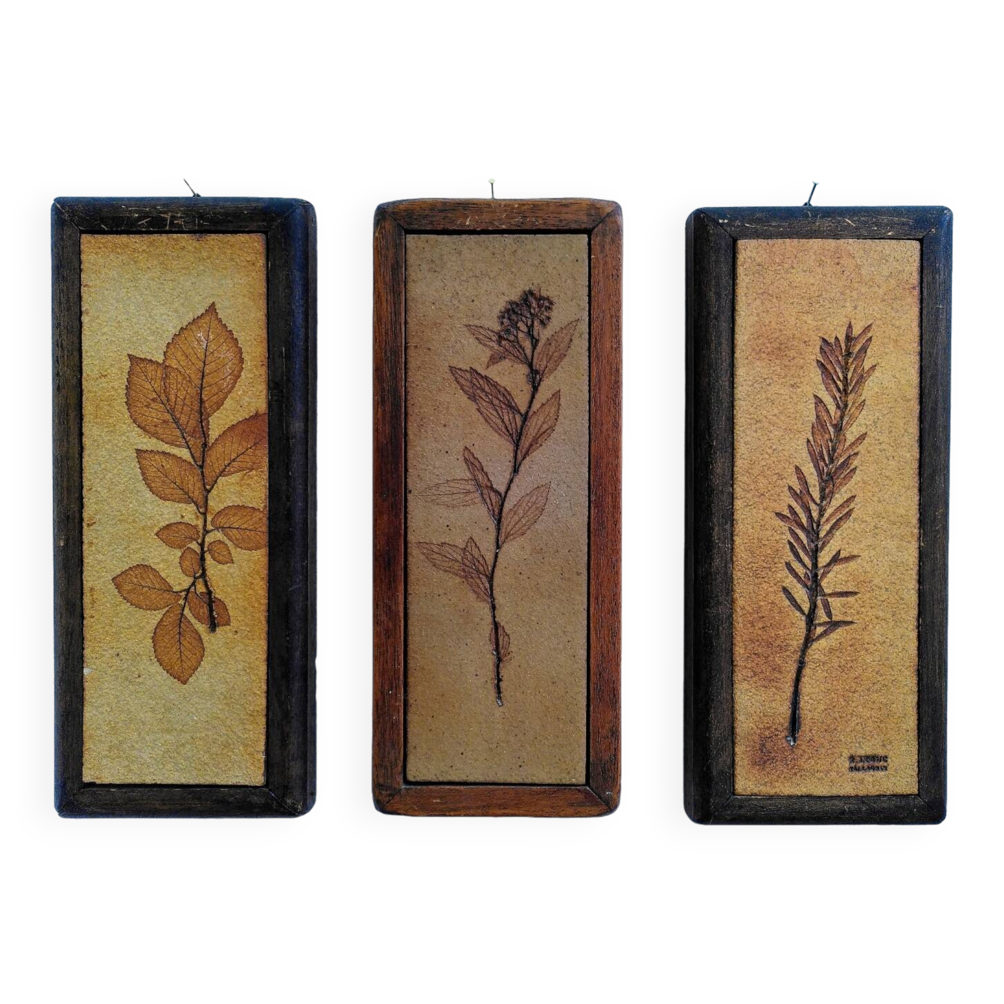 Vallauris herbarium triptych, R.Leduc