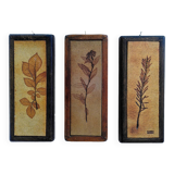 Vallauris herbarium triptych, R.Leduc