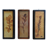 Vallauris herbarium triptych, R.Leduc