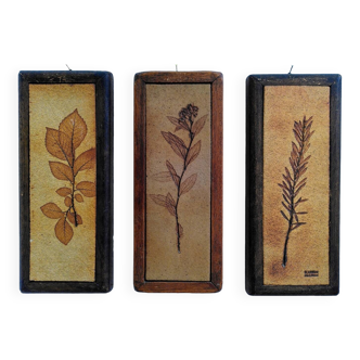 Vallauris herbarium triptych, R.Leduc