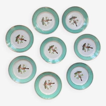 Lot de 8 assiettes creuses vintage à bord turquoise motif oiseaux