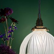 Vintage art deco frosted glass lampshade pendant light