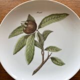 Set of 4 Vintage Hutschenreuther Fruit Dessert Plates 20cm, Side Plate