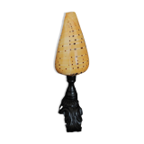 Cabinet of Curiosities conus betulinus shell on base