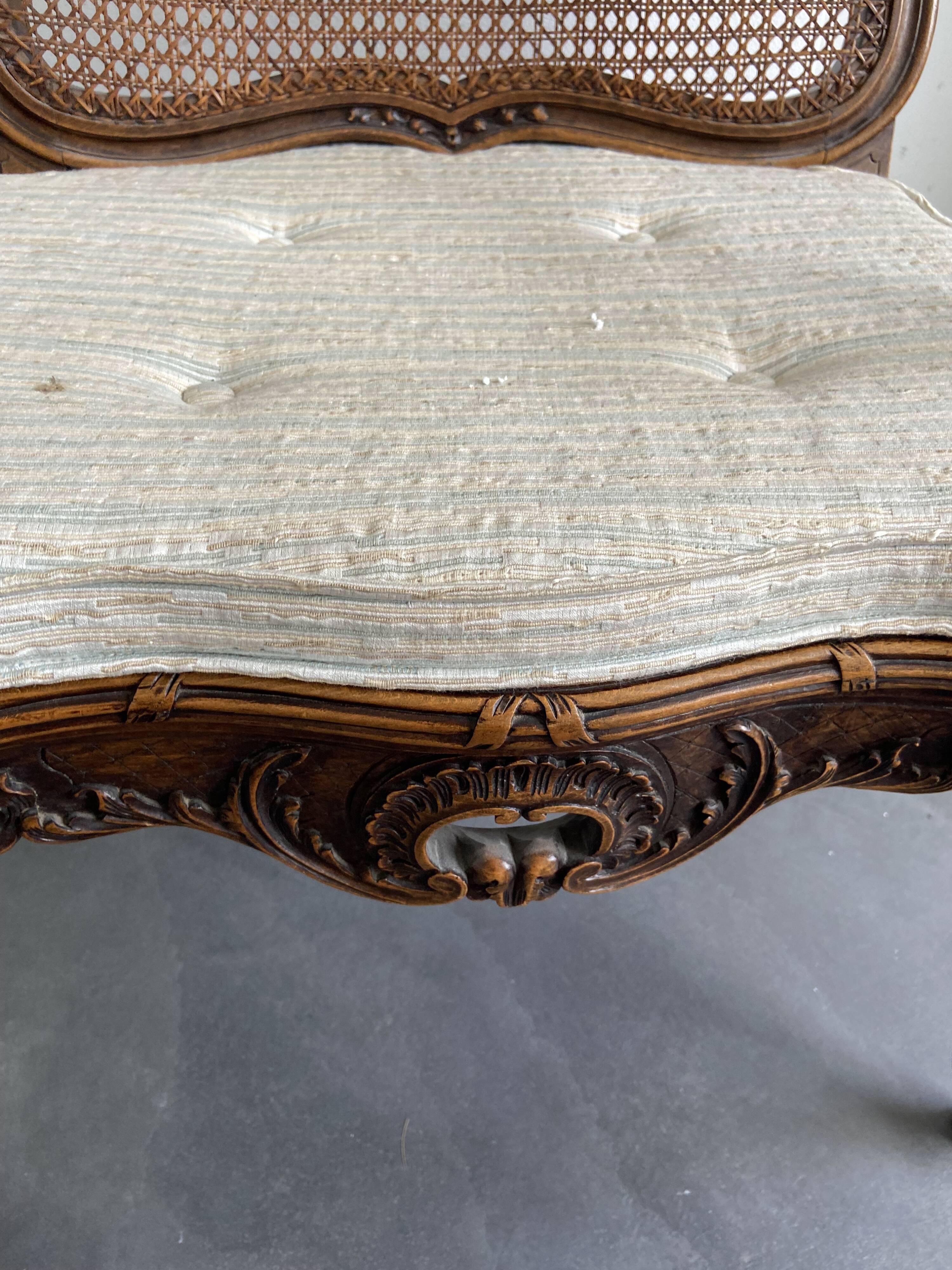 Regency canned armchair in carved walnut