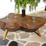 Elm tree trunk coffee table