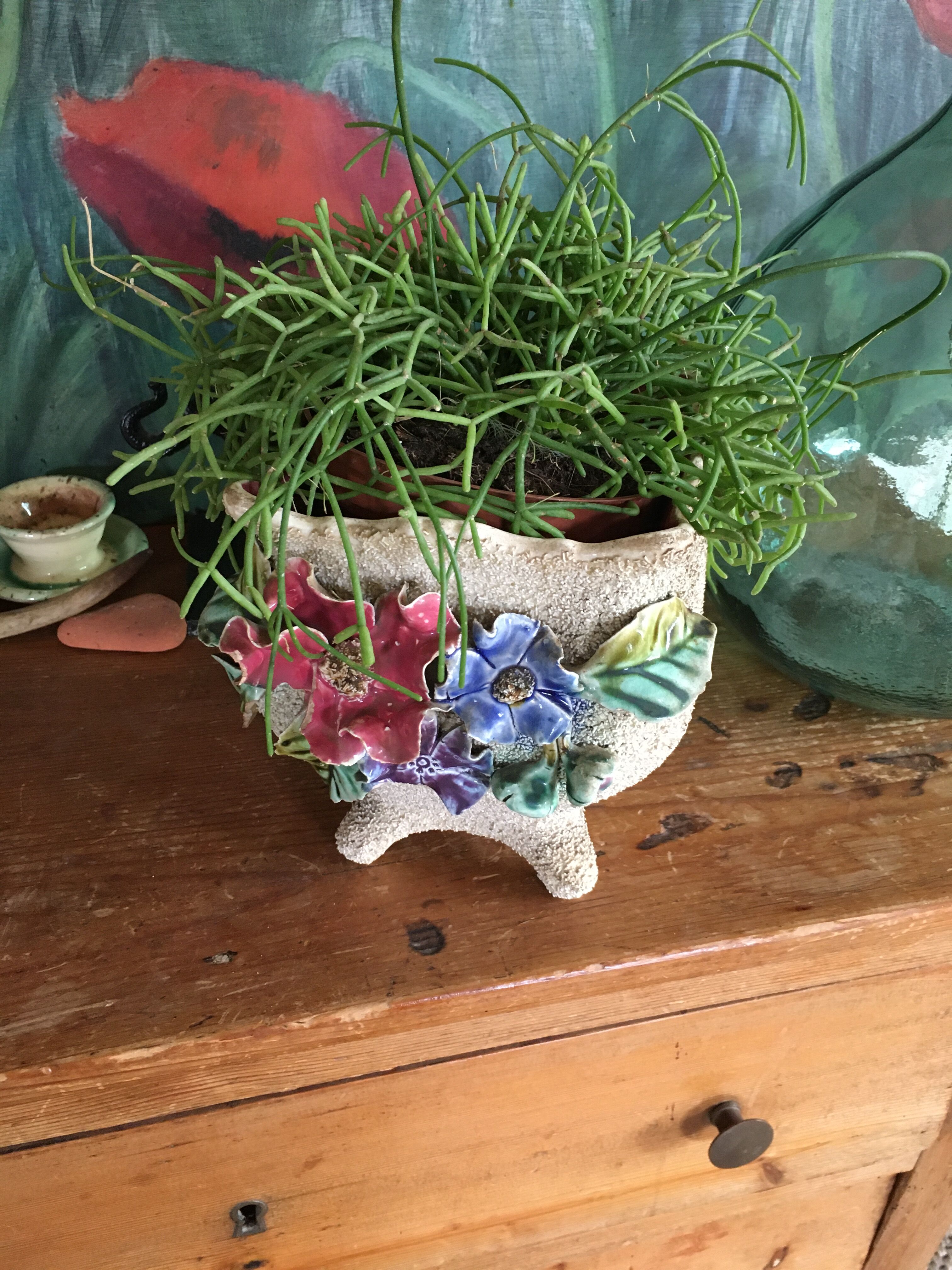 Cache pot in dabbling