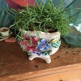 Cache pot in dabbling