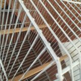 Old bird cage decoration