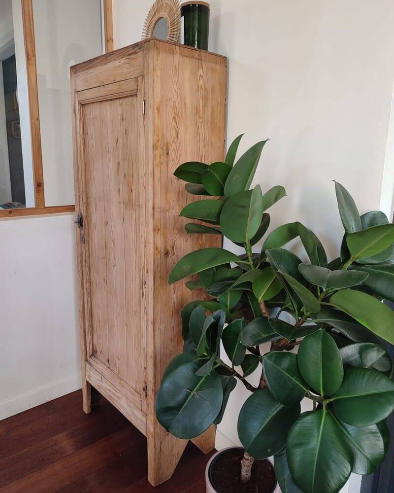 Vintage wooden wardrobe - 1 door