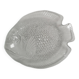 Large fish dish 40x33 transparent