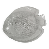 Grand plat poisson 40x33 transparent