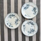 Assiette Terre de Fer St Amand Acacia XIX