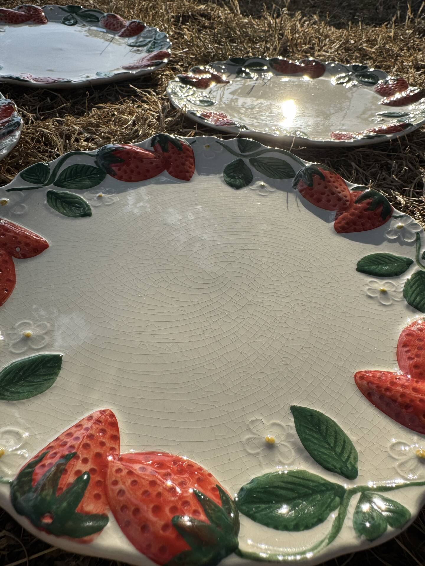 Longchamp antique strawberry barbotine plates