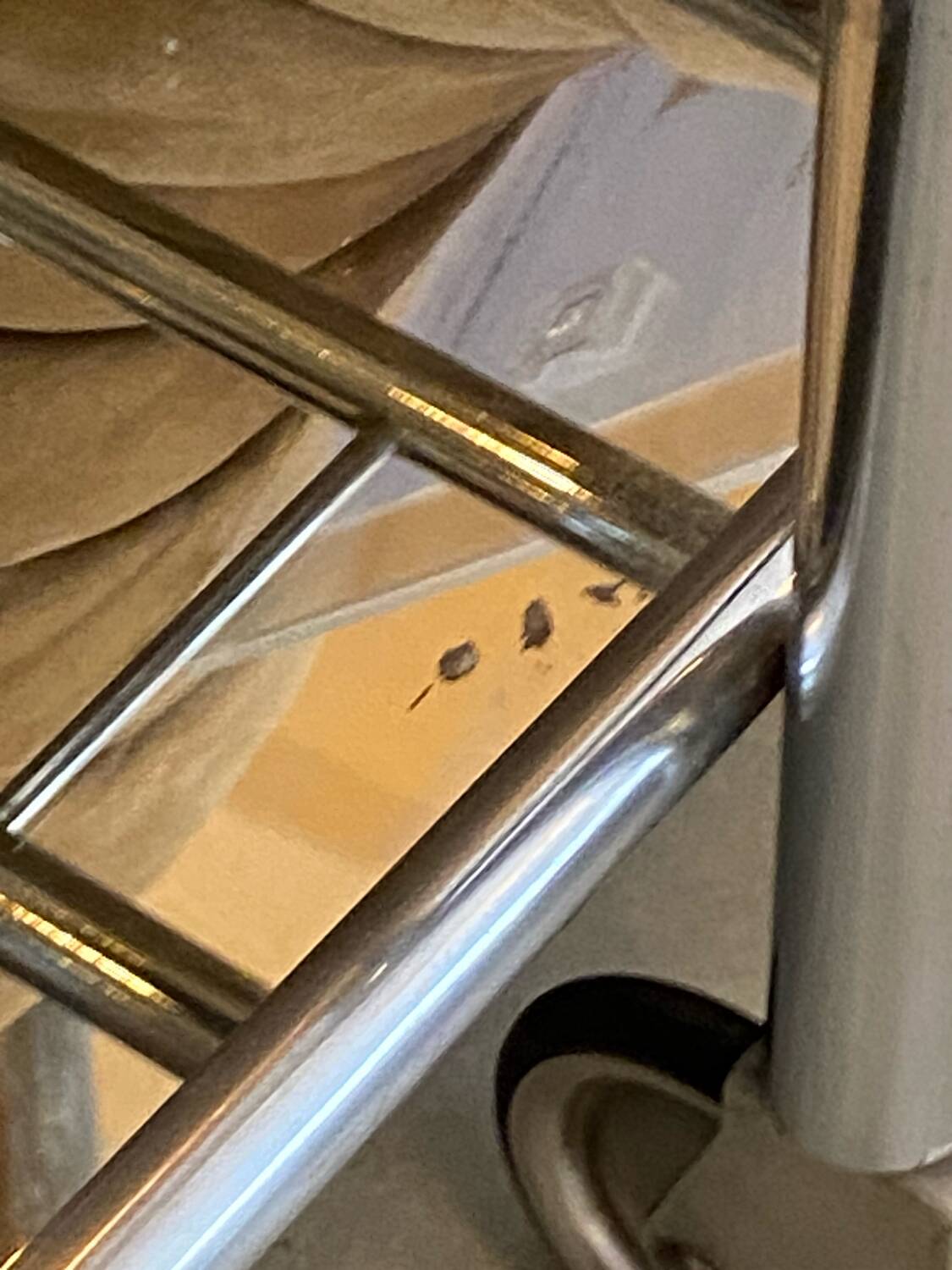 Mallet Stevens trolley on wheels