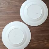 4 mismatched iron earth plates