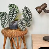 Vintage rattan and wicker stool