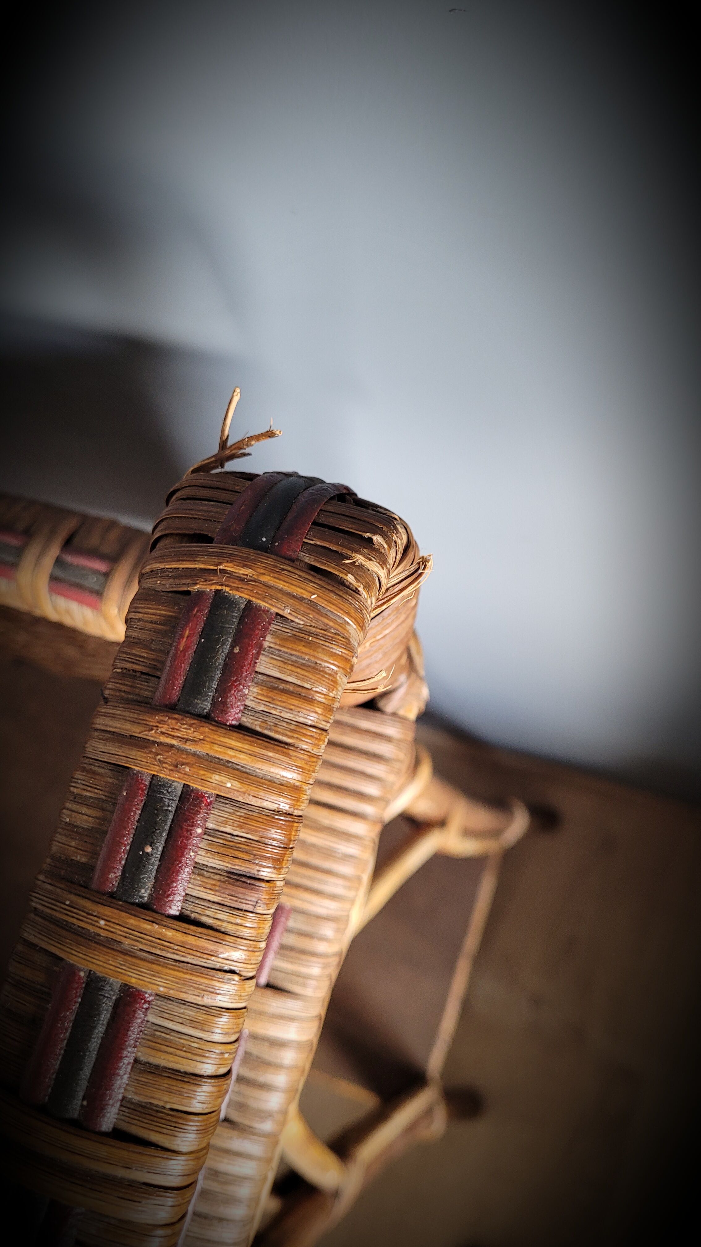 Planter door rattan plant