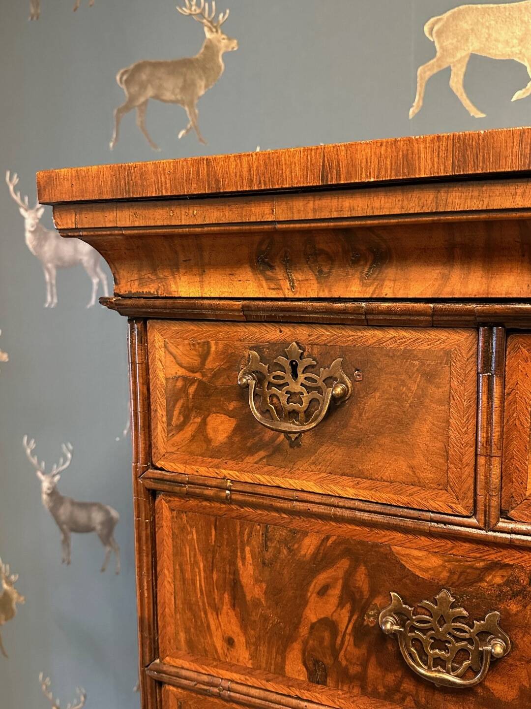 Antique 18th century burl walnut chest of drawers