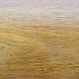 Vintage Bankotte folding stool