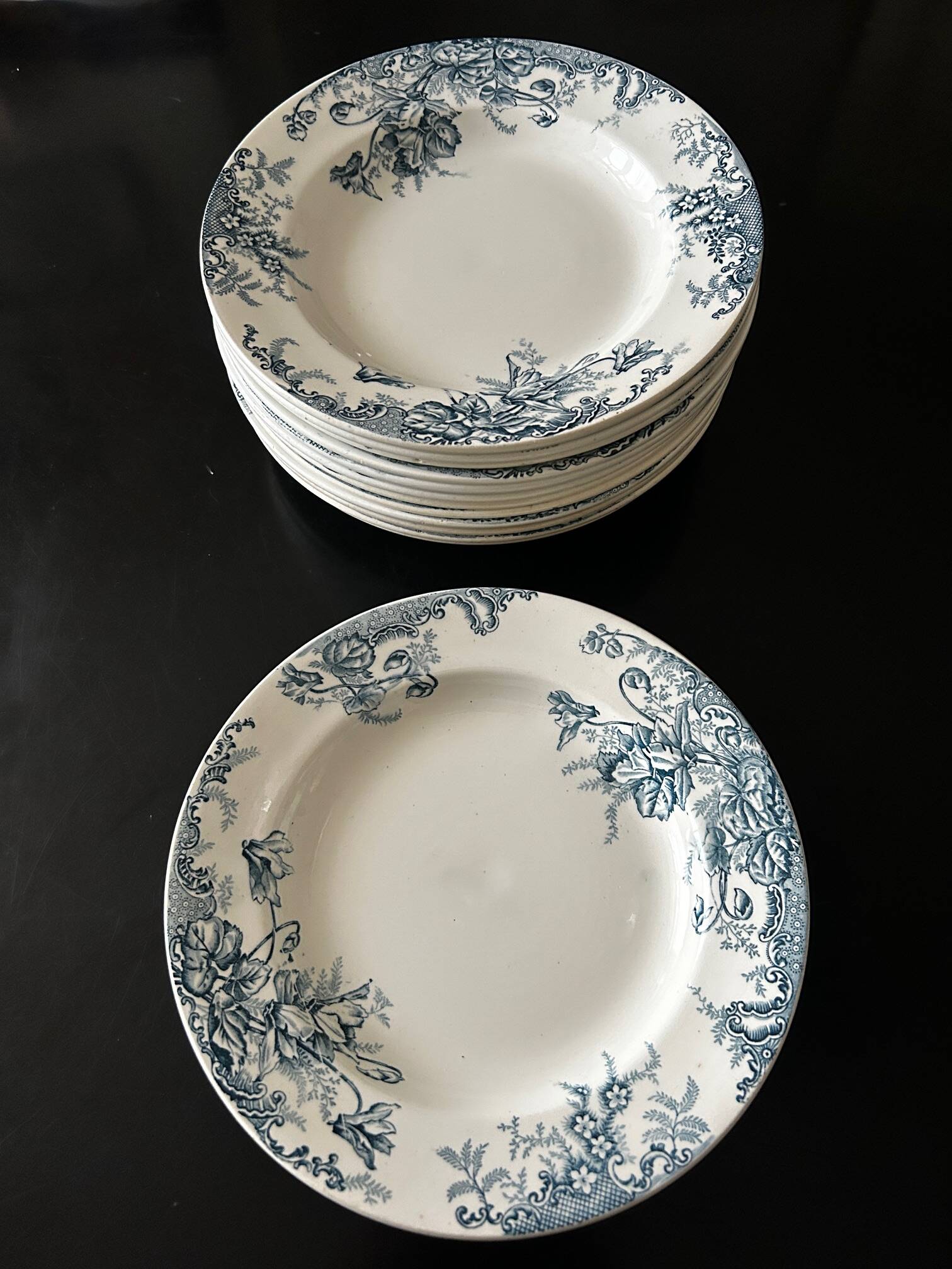 13 deep plates Terre de fer Cyclamens Louis Graves