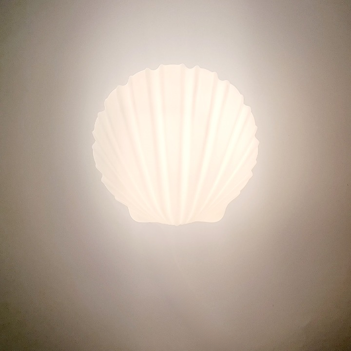 Pair of Vintage Shell-Shaped Opaline Glass Wall Lamps from Limburg, 1970s
