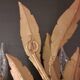 Pair of gold-tone metal leaf wall sconces