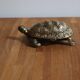 Boîte tortue