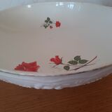 Vegetable soup Digoin Sarreguemines Sthendal