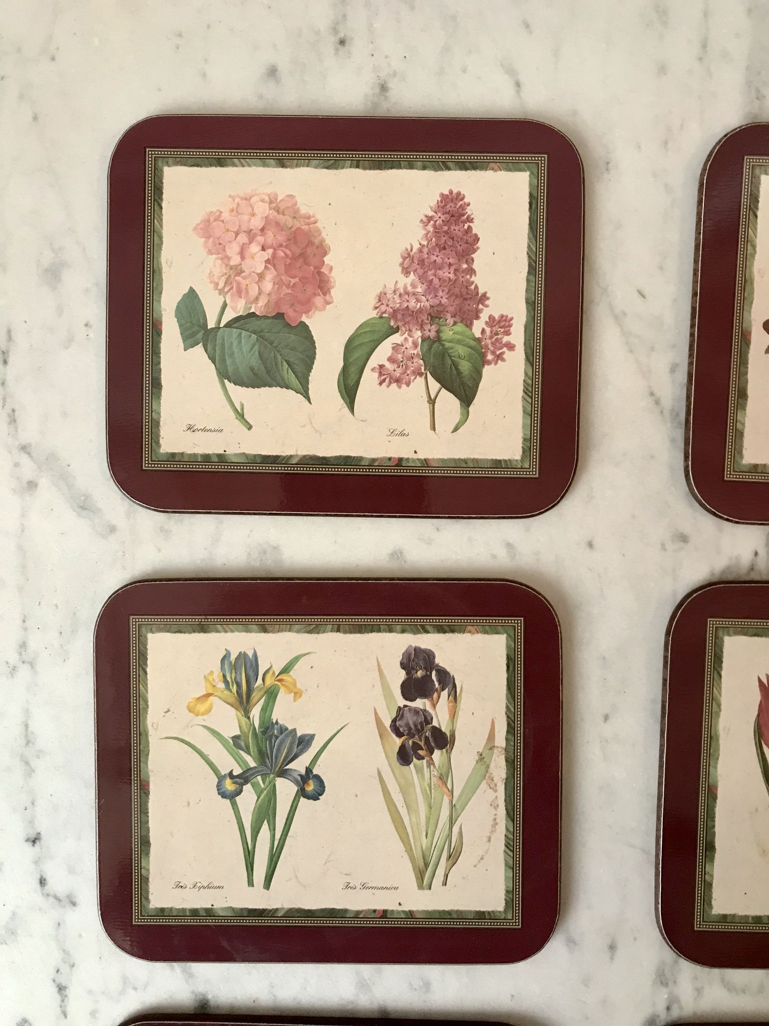 6 coasters Jason Coasters flowers Made in New Zealand (1963)