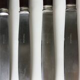 10 bakelite handle knives