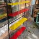Floor on feet of the brand Drentea Emmen-Holland