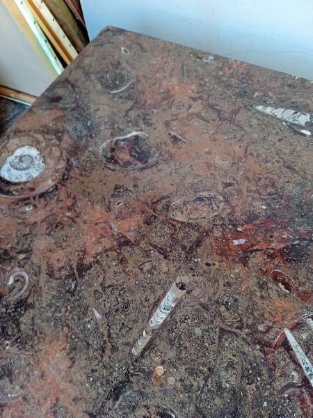 Fossil marble design coffee table 124cm