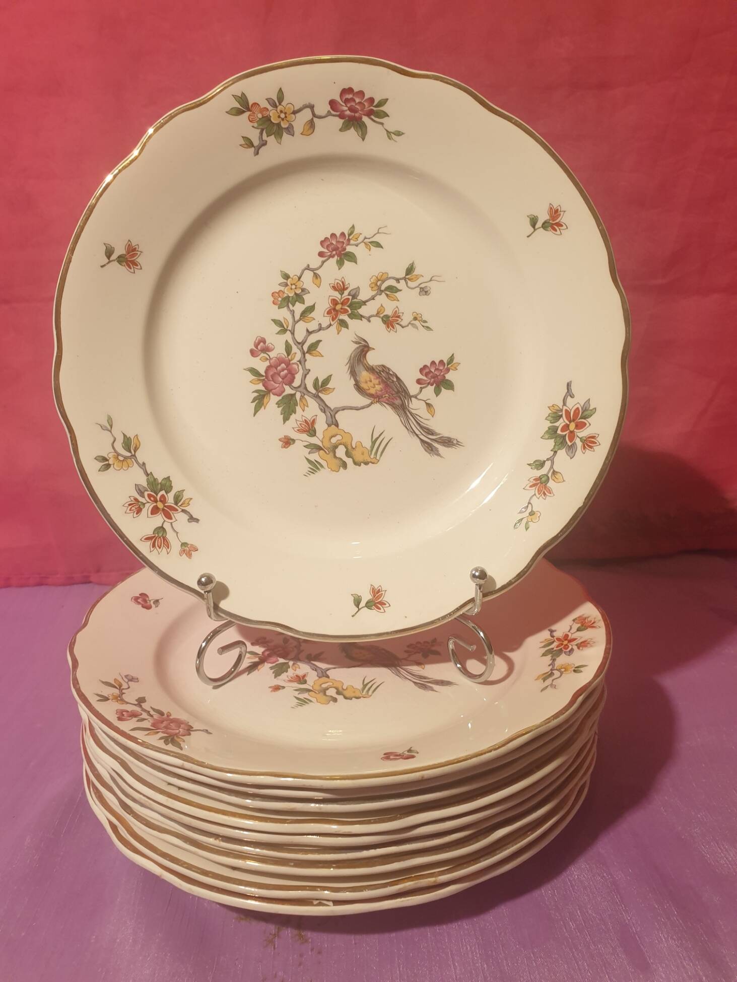 Set of 10 Condé Digoin Sarreguemines dessert plates
