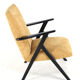mid century modern vintage Armchair 'De Lier' - fully restored