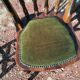 Set of 4 vintage reupholstered English country seat ltd bistro chairs