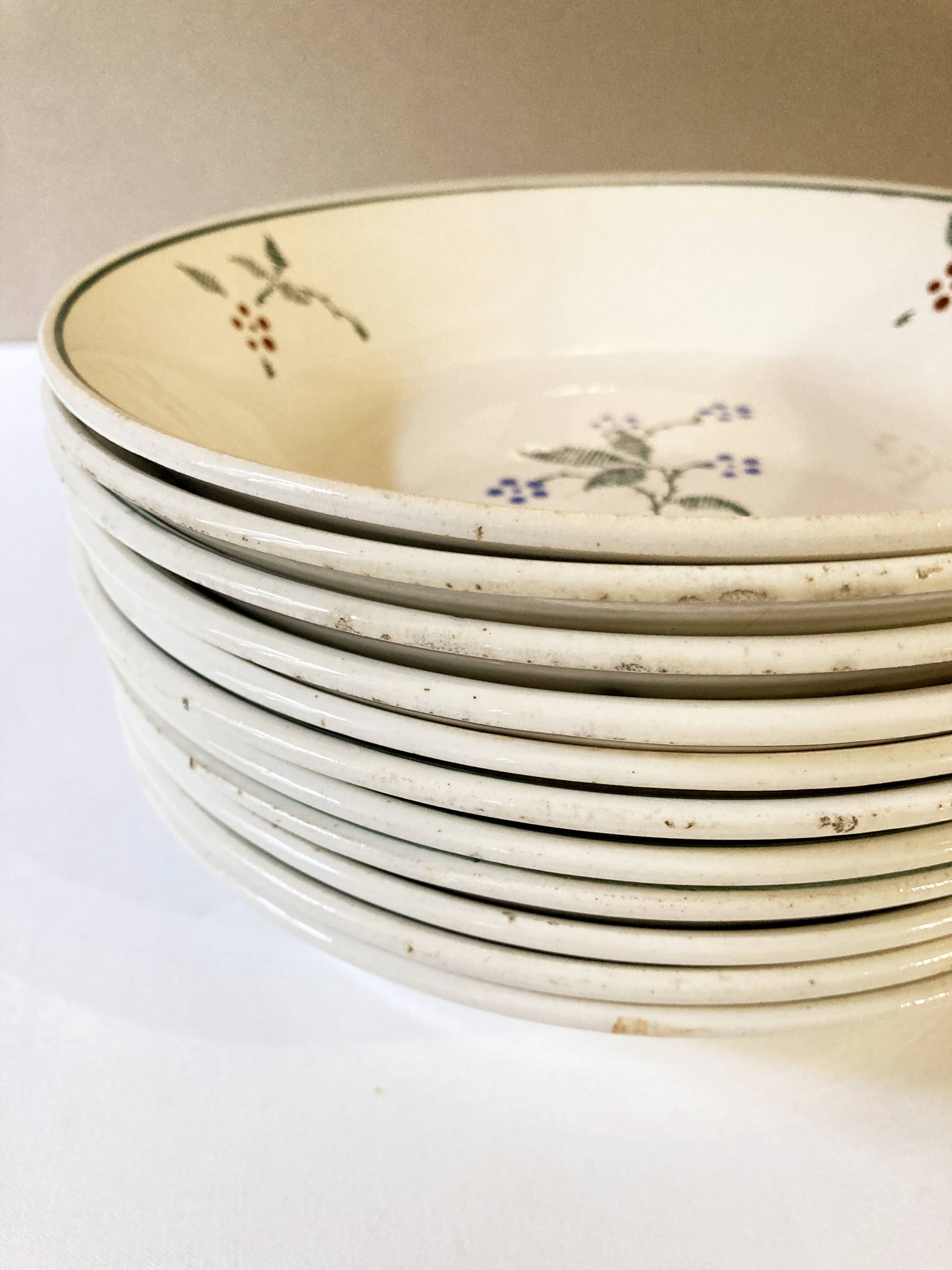 Deep plates, Saint-Amand earthenware, Bill model