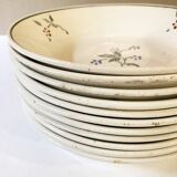 Deep plates, Saint-Amand earthenware, Bill model