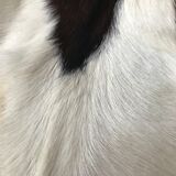 Goat skin