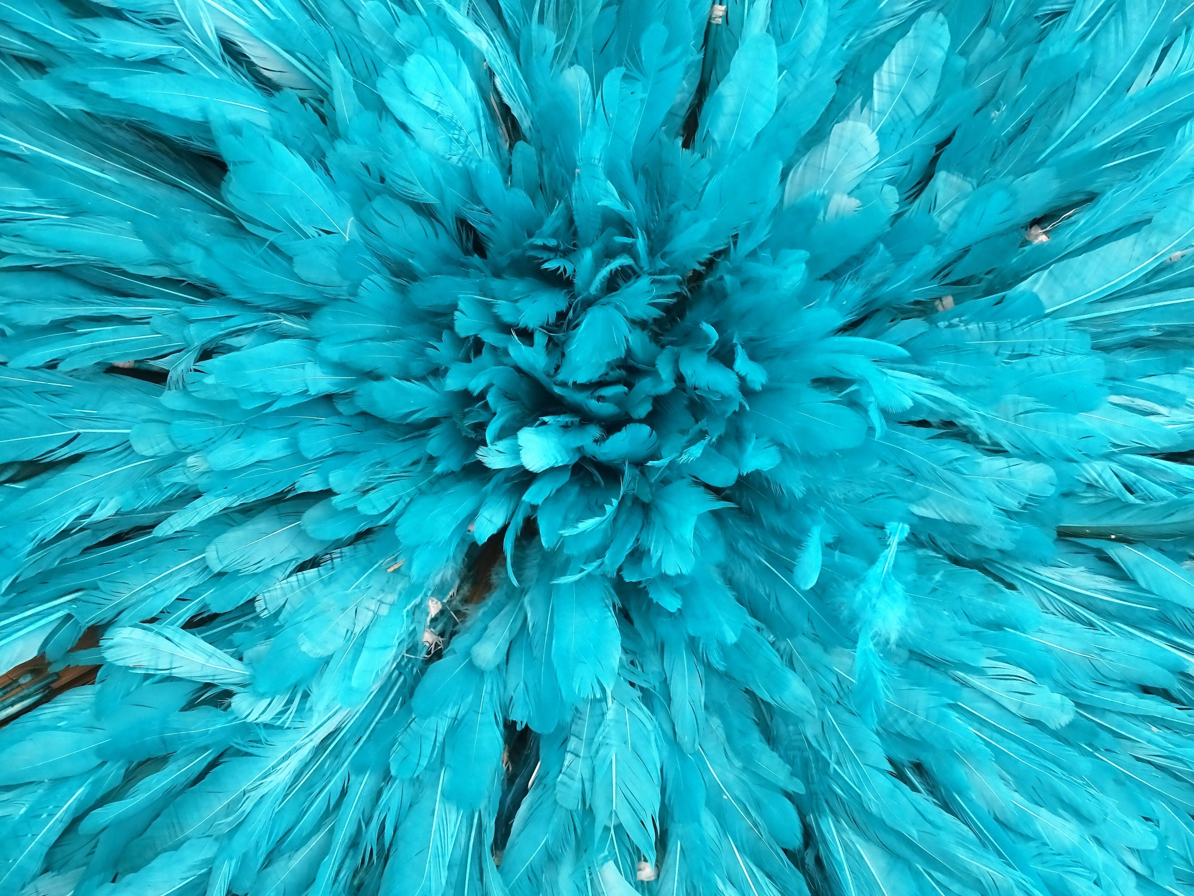 Juju Hat aqua clear 80cm