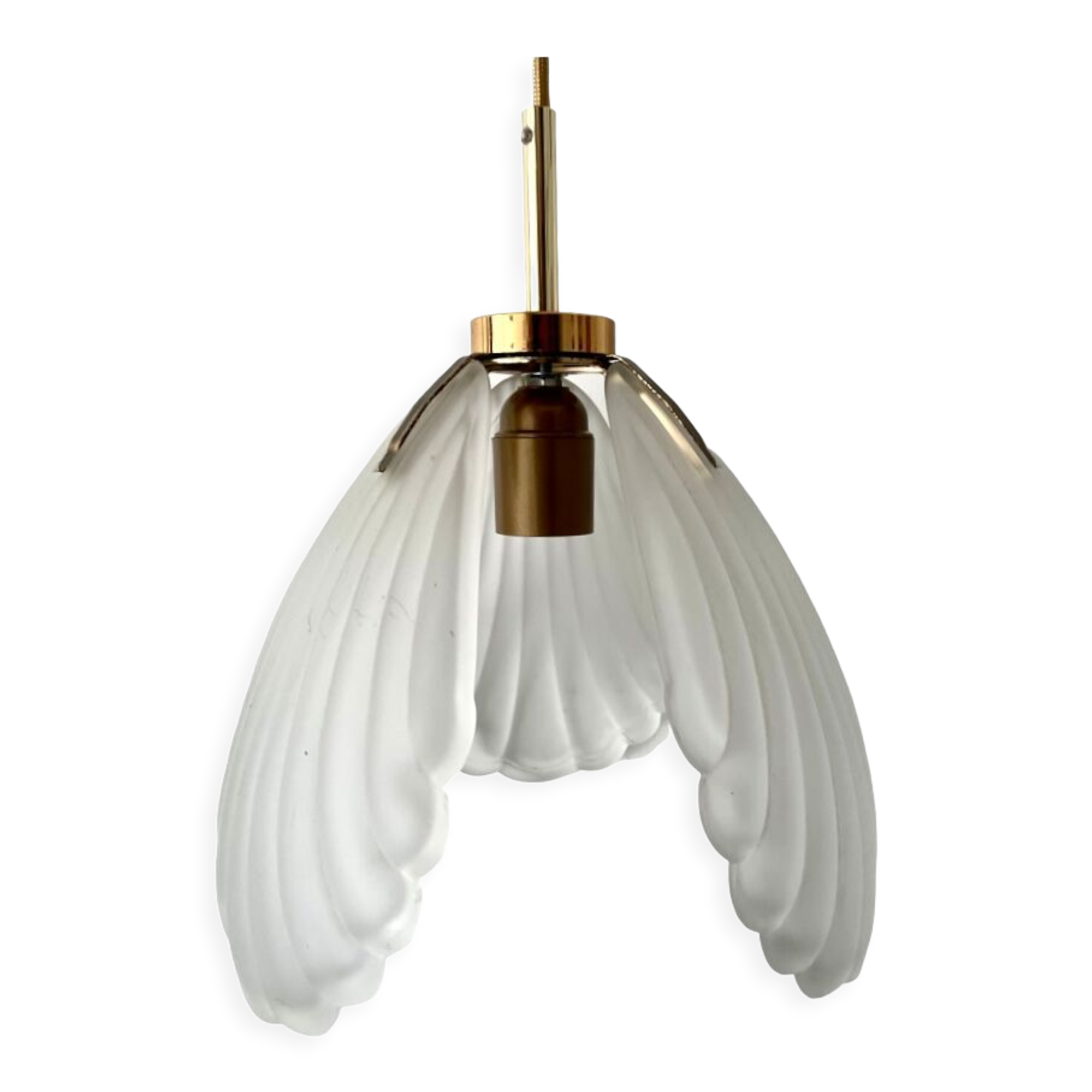 Shell suspension or shell in new electrified glass paste
