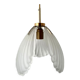 Shell suspension or shell in new electrified glass paste