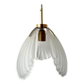 Shell suspension or shell in new electrified glass paste