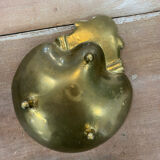 Empty pocket scallop shell