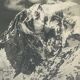 Old artistic photo in black and white Mountain Golden frame