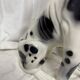 Ceramic dog, Great Dane